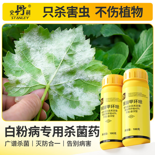 白粉病专用药|治病不伤花