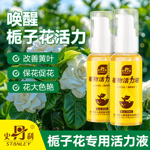 栀子花专用肥花开满盆