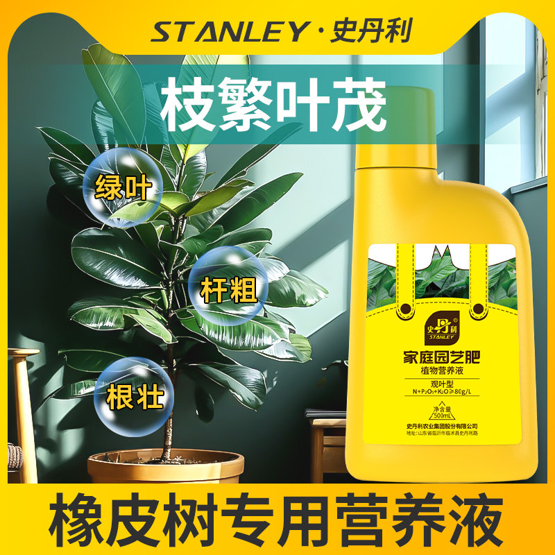橡皮树专用肥料营养液室内图片