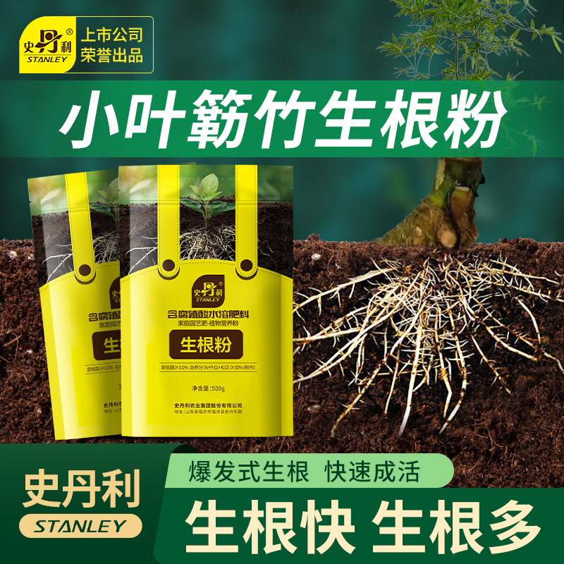 史丹利小叶簕竹生根粉快速生根