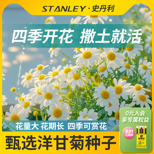 史丹利精选洋甘菊种子花色纯正