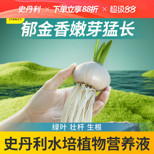 史丹利水培植物营养液郁金香