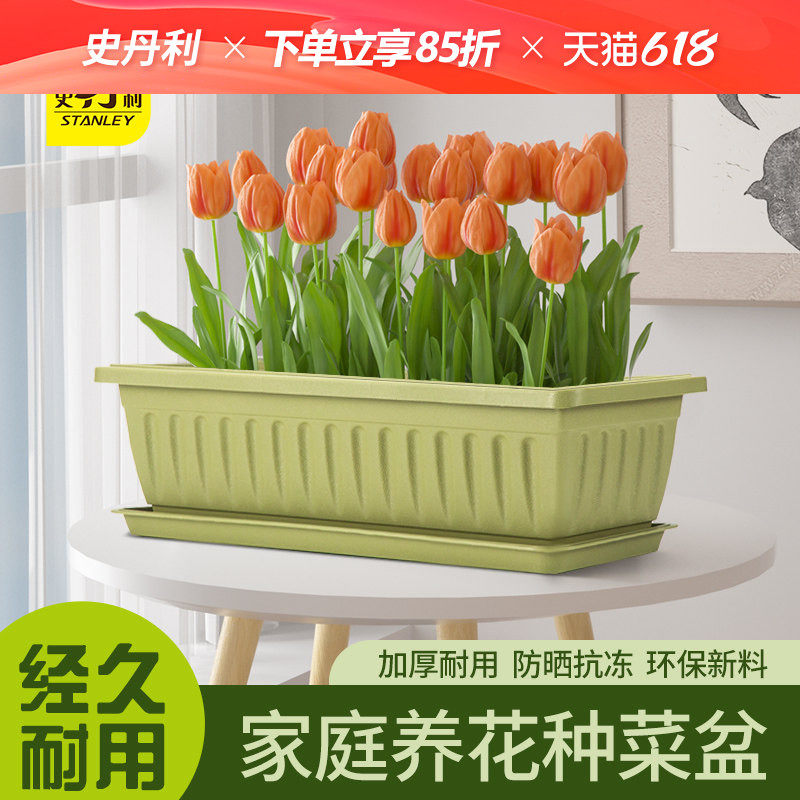 史丹利郁金香阳台种菜盆室内花卉养花种植塑料花盆长方形加厚家庭