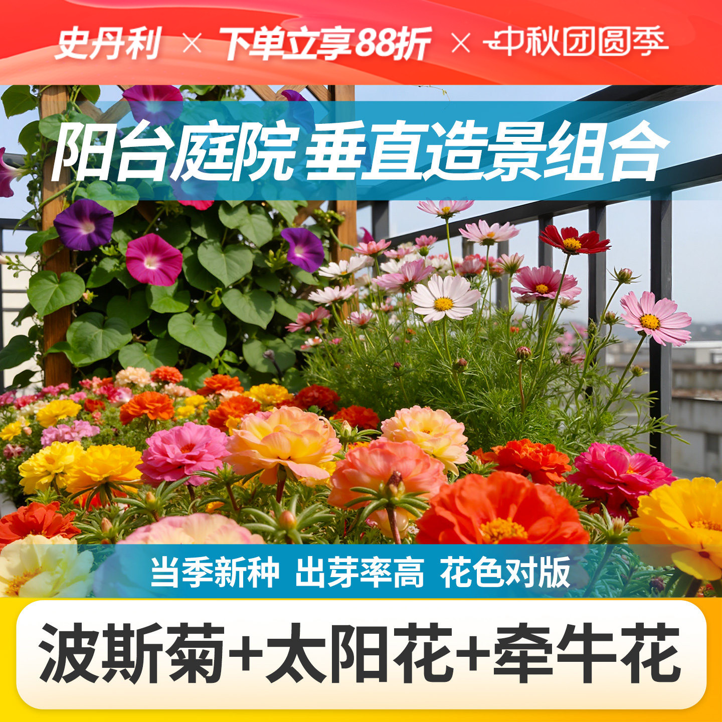 史丹利四季开花家庭园艺种子系列图片