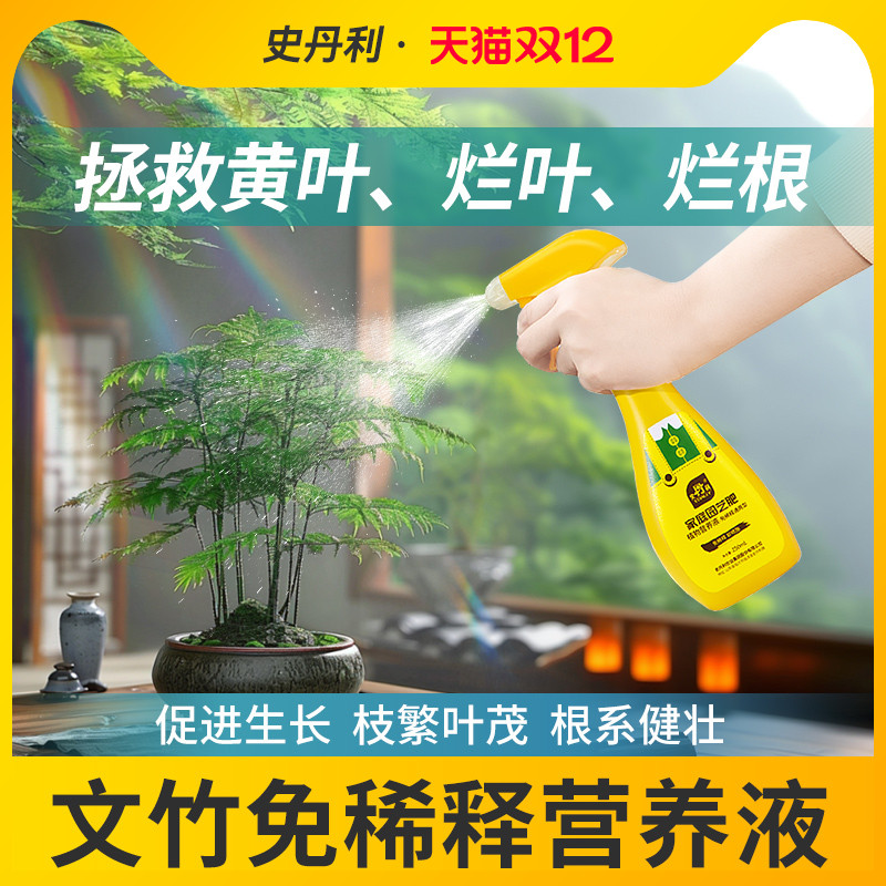 文竹专用肥料告别黄叶