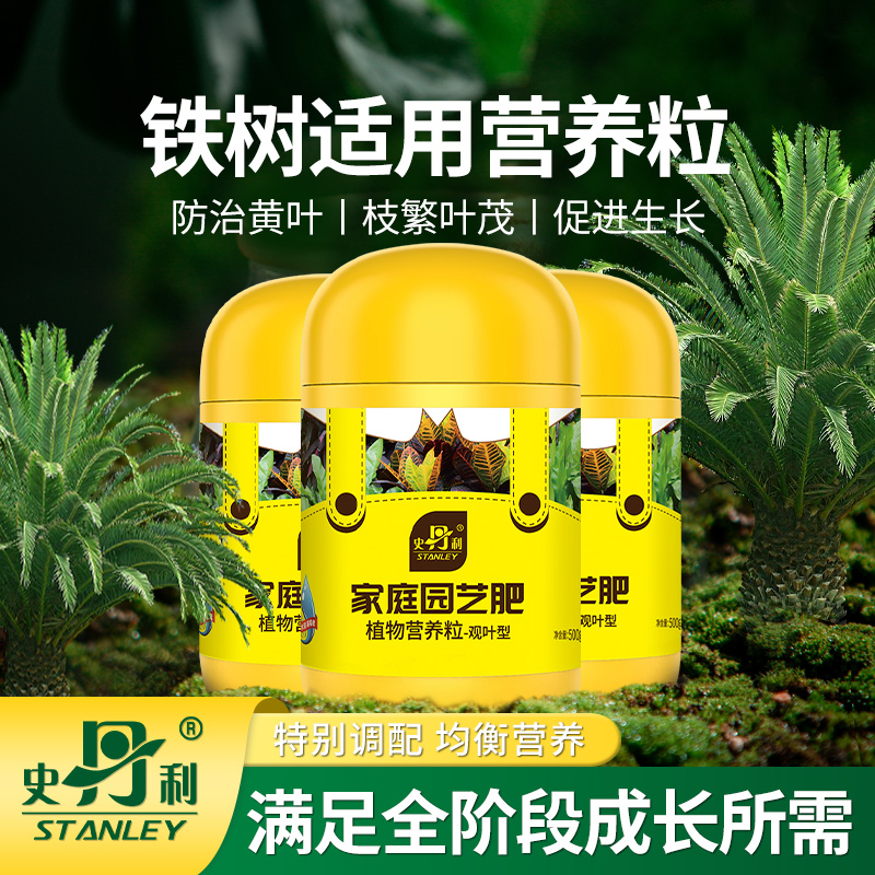 铁树专用颗粒肥料枝繁叶茂