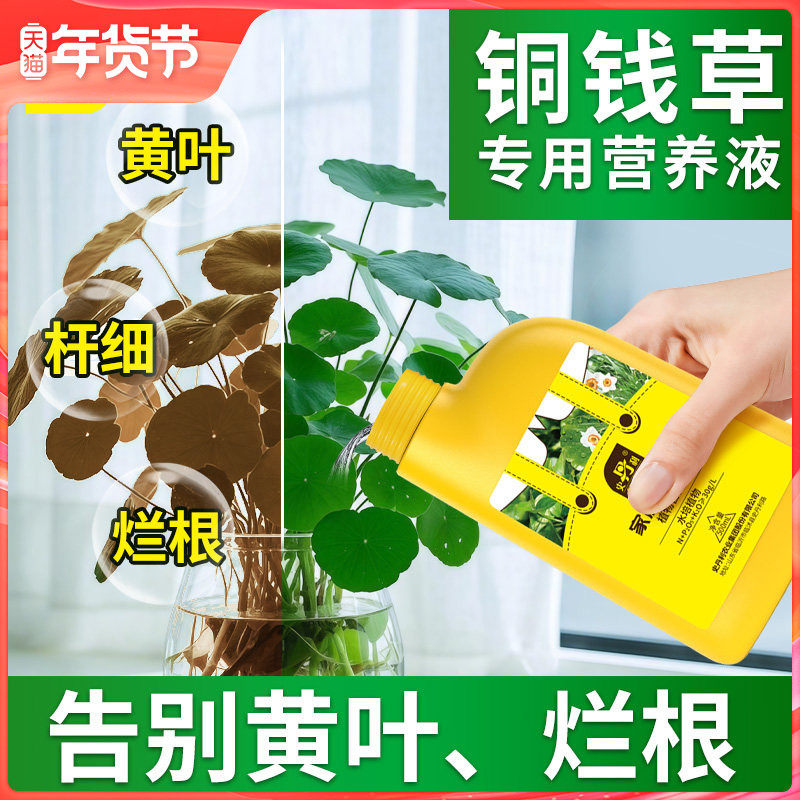 史丹利铜钱草营养液专用肥养水培植物肥料水溶肥植物养花家用盆栽,鲜花速递/花卉仿真/绿植园艺,家庭园艺肥料,淘宝优惠券,粉丝福利购,淘宝优惠卷