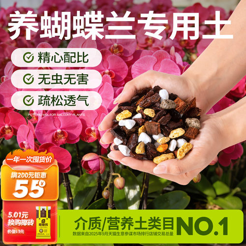 史丹利养蝴蝶兰专用土兰科营养土