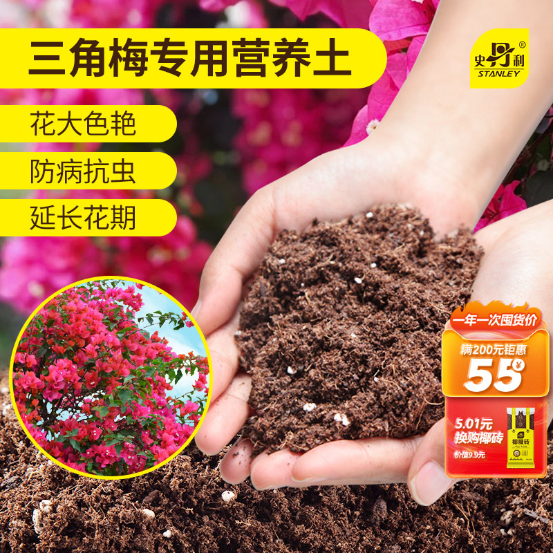 史丹利三角梅开花专用土图片