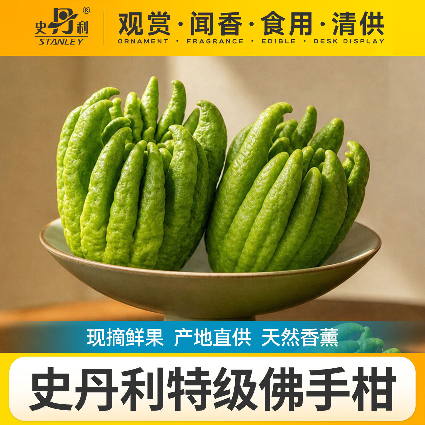 史丹利佛手柑绿植盆栽桌面鲜果室内香薰摆件新鲜闻香车载天然大果