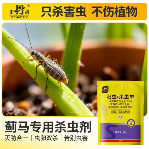 蓟马专用药|杀虫不伤花