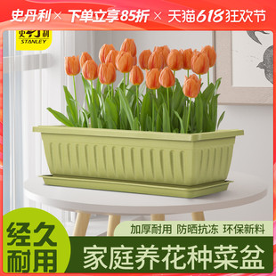 史丹利郁金香阳台种菜盆室内花卉养花种植塑料花盆长方形加厚家庭
