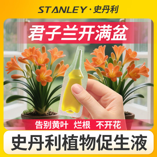 即插即用肥效持久花开满盆