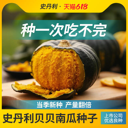 精选当季新种|发芽率高