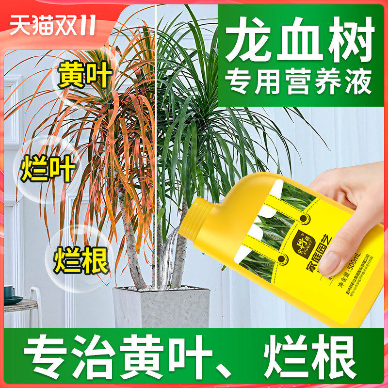 史丹利龙血树专用营养液治疗龙须树黄叶怎么养客厅绿植通用型肥料