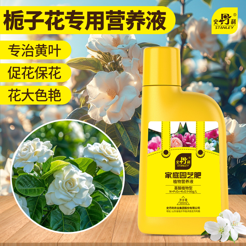 栀子花专用肥专治黄叶催花促花