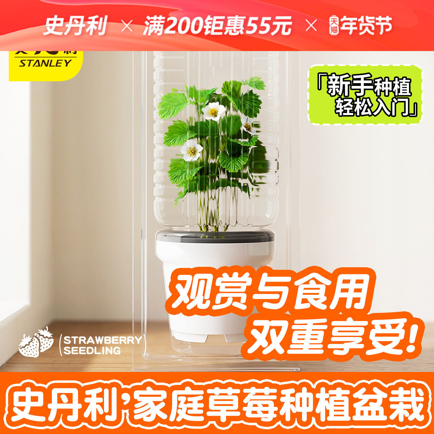 史丹利草莓苗盆栽阳台种植四季种植盒包儿童趣味小盆栽观察小学生,鲜花速递/花卉仿真/绿植园艺,种苗/半成品盆栽,淘宝优惠券,粉丝福利购,淘宝优惠卷