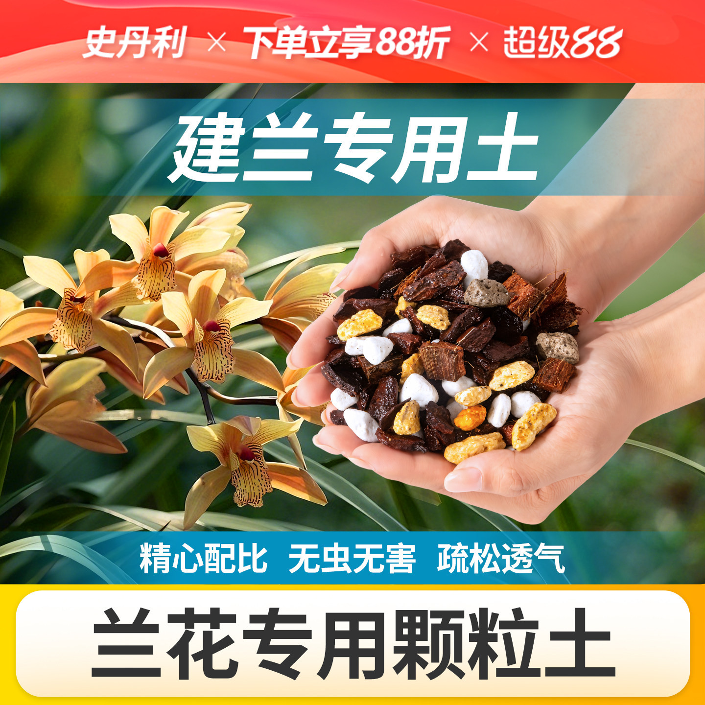 史丹利建兰专用土透气养根图片