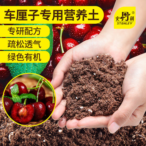 史丹利车厘子专用土营养土
