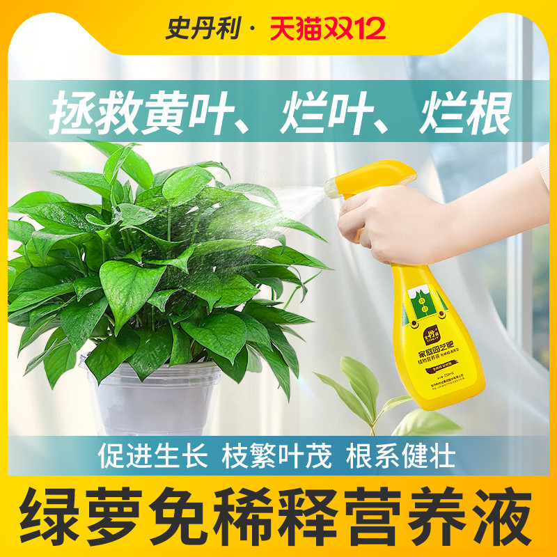 绿萝专用肥料枝繁叶茂