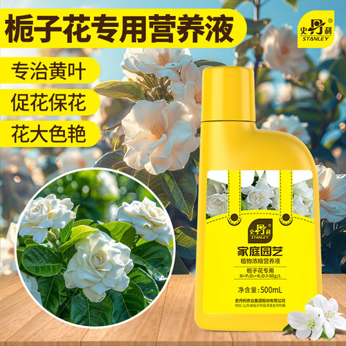栀子花营养液|花开满盆