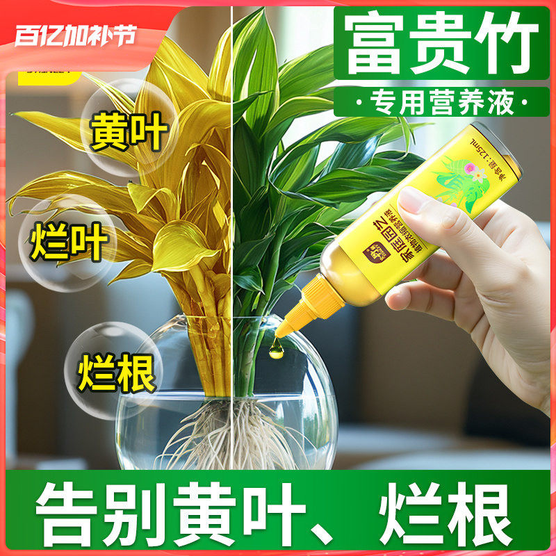 史丹利富贵竹水培专用营养液治叶子发黄水养节节高通用型防黄叶