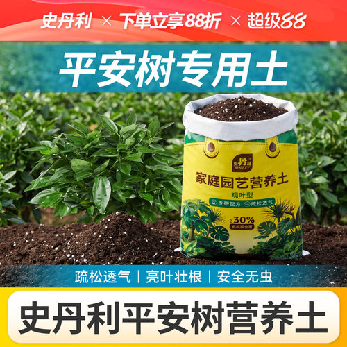 史丹利观叶植物营养土