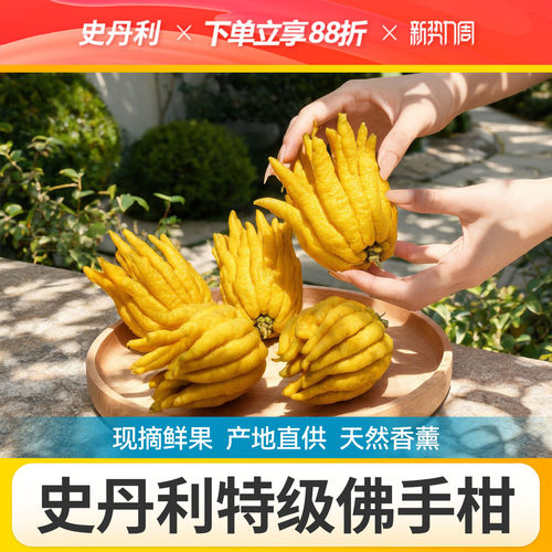 史丹利佛手柑绿植摆件桌面鲜果室内香薰摆件新鲜闻香车载天然大果