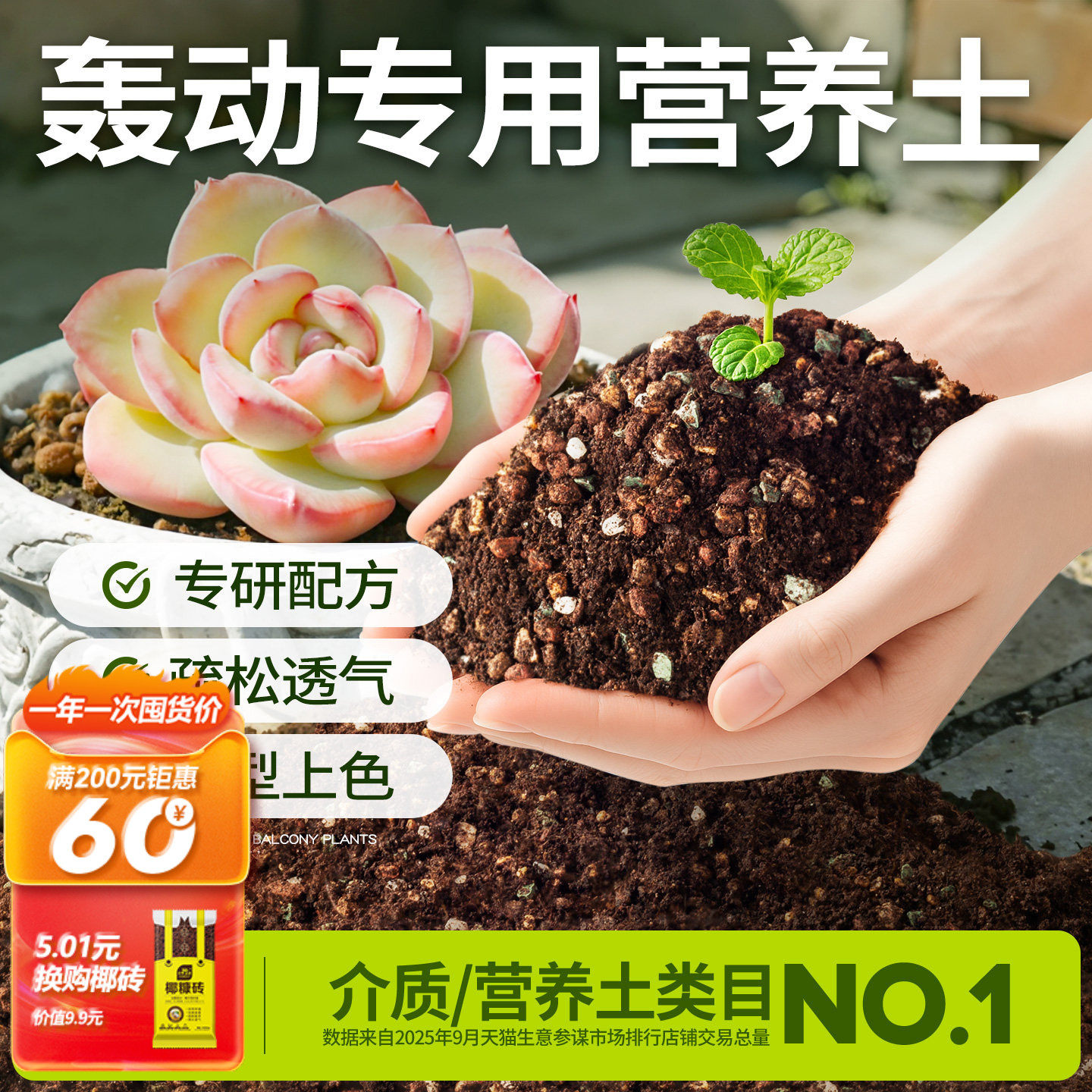 史丹利轰动多肉土专用颗粒土营养土种植土泥炭土盆栽叶插营养土壤