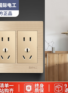 TEP国际电工120型老式开关插座面板二位五孔十孔10孔墙壁电源暗装