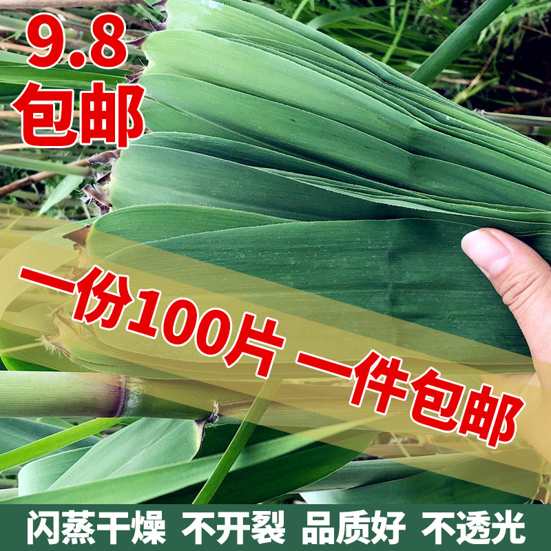干粽叶包粽子的大粽子叶新鲜箬叶农家采摘芦苇叶100张竹精选免邮