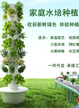 空间树垂直水培塔智能无土种菜机