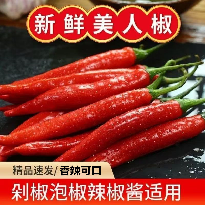 美人椒香辣微辣红辣椒辣椒尖椒辣椒酱红线新鲜农家自种泡椒批发