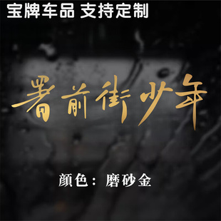 署前街少年车贴 民谣赵雷专辑装饰贴纸 雷子歌迷汽车改装防水贴画