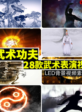 中国风武术表演 南拳北腿 太极拳 水墨少林功夫LED背景视频素材