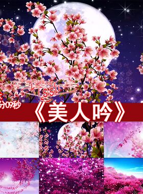 新款 美人吟林古风水墨古典桃花月亮江南景色LED背景视频素材