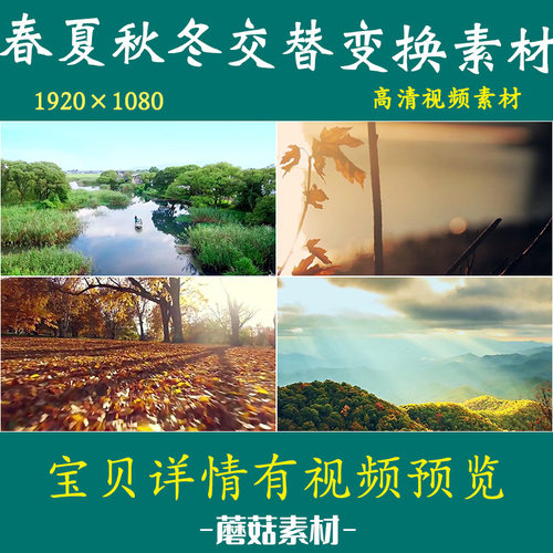 H季节交替四季变换视频素材春夏秋冬天气气候变化丛林植物延时素