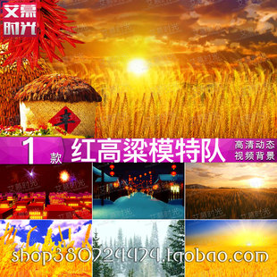 新款红高粱模特队小品舞蹈丰收小麦东北雪景 led大屏背景视频