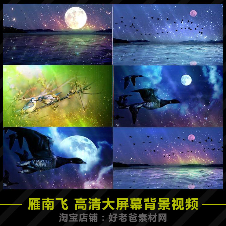 歌曲雁南飞高清大屏幕LED背景视频素材 大海洋月亮大雁飞翔图片