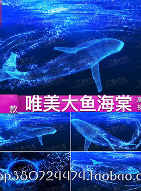 大鱼海棠伴奏 唯美蓝色大海鲸鱼抒情歌曲 LED大屏幕背景视频素