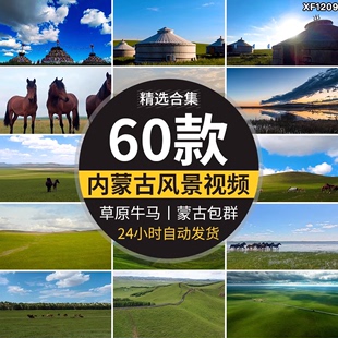 内蒙古包群大草原马羊牛少数民族风景延时航拍自然风光短视频素材