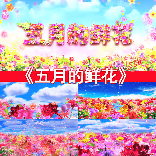 五月的鲜花配乐儿童节少年红歌国庆春节革命LED背景大屏视频素材