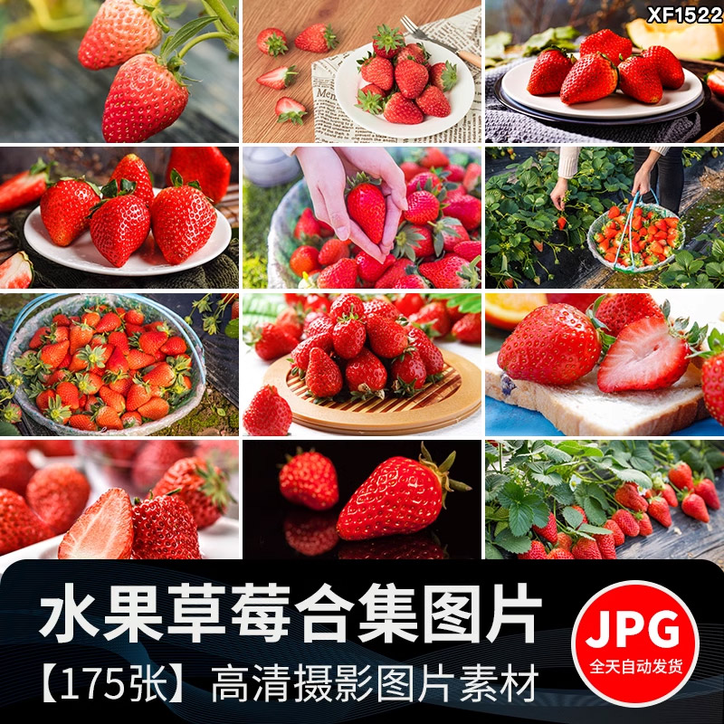 新鲜水果草莓特写草莓园果蔬美食高清实拍摄影照设计背景图片素材