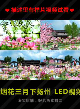 烟花三月下扬州 江南水乡舞台背景亭子山水竹叶水墨荷花高清视频