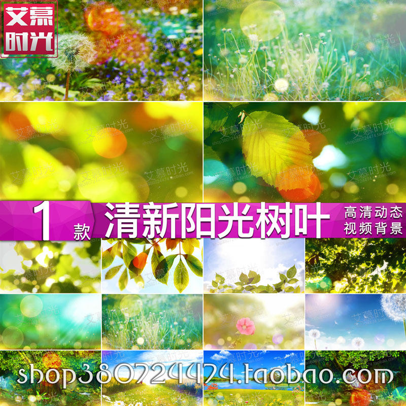 唯美青春梦幻清新 阳光树叶花草 抒情梦想 led大屏幕背景视频