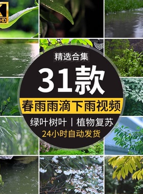 春雨雨滴下雨树叶绿叶清新绿色植物叶子雨水唯美意境春天视频素材
