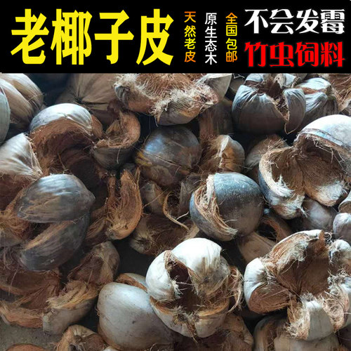 海南青椰皮老椰壳椰砖椰糠竹虫养殖饲料椰子虫椰棕毛椰土改良土壤