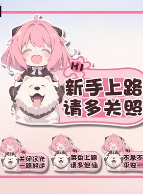 间谍过家家阿尼亚趣味菜鸟上路请多包涵贴汽车玻璃贴C175