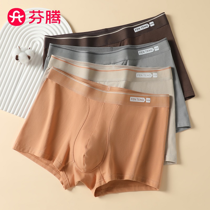 芬腾2025年新款男士内裤纯棉抗菌裆平角裤舒适透气四角短裤头