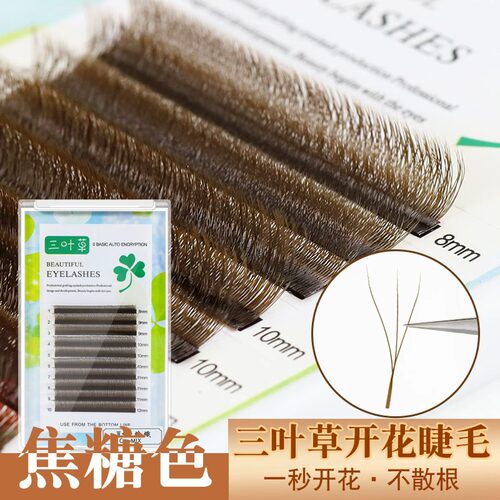 焦糖色三叶草开花嫁接睫毛